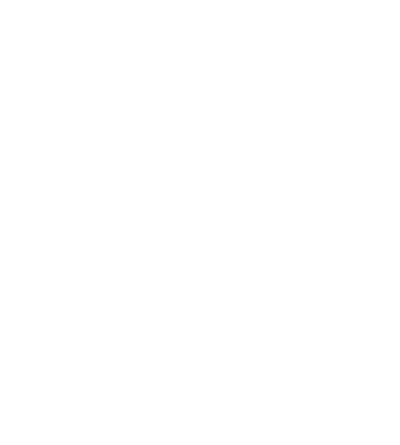 FDV - Logotipo - Branco
